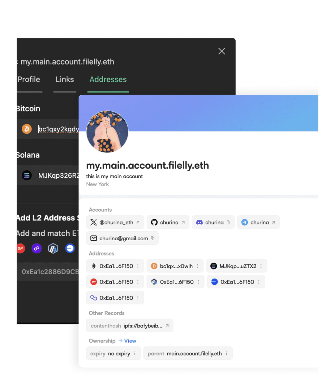 Managing subdomains in NameStone admin panel
